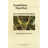 Amphibien und Reptilien aus der Grafschaft Bentheim